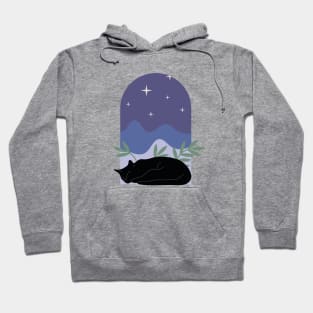 Sleepy cozy black cat with plants and night sky in boho minimalist style Hoodie